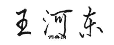 骆恒光王河东行书个性签名怎么写