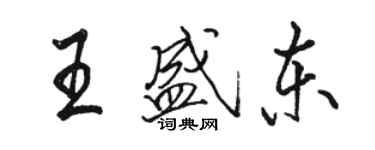 骆恒光王盛东行书个性签名怎么写