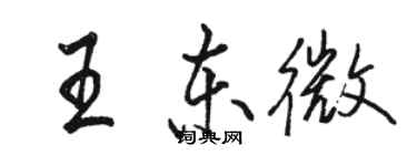 骆恒光王东微行书个性签名怎么写