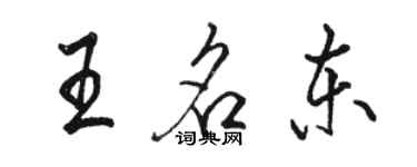 骆恒光王名东行书个性签名怎么写