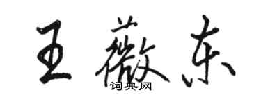 骆恒光王薇东行书个性签名怎么写