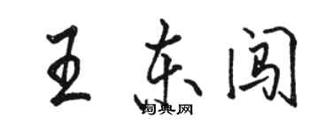 骆恒光王东闯行书个性签名怎么写