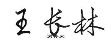 骆恒光王长林行书个性签名怎么写