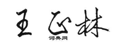 骆恒光王正林行书个性签名怎么写