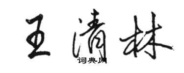 骆恒光王清林行书个性签名怎么写