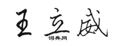 骆恒光王立威行书个性签名怎么写