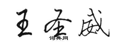 骆恒光王圣威行书个性签名怎么写