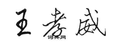 骆恒光王孝威行书个性签名怎么写