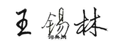骆恒光王锡林行书个性签名怎么写