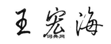 骆恒光王宏海行书个性签名怎么写