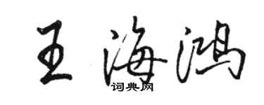 骆恒光王海鸿行书个性签名怎么写