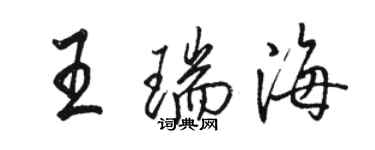骆恒光王瑞海行书个性签名怎么写
