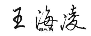 骆恒光王海凌行书个性签名怎么写