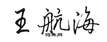 骆恒光王航海行书个性签名怎么写