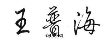 骆恒光王普海行书个性签名怎么写