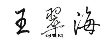 骆恒光王翠海行书个性签名怎么写