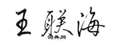 骆恒光王联海行书个性签名怎么写