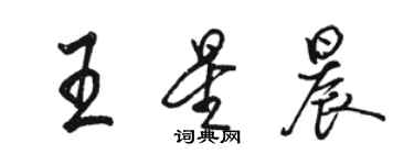 骆恒光王星晨行书个性签名怎么写