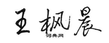 骆恒光王枫晨行书个性签名怎么写