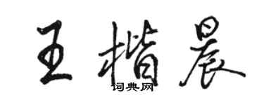 骆恒光王楷晨行书个性签名怎么写