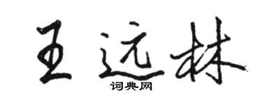 骆恒光王远林行书个性签名怎么写