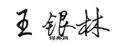 骆恒光王银林行书个性签名怎么写