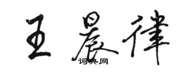 骆恒光王晨律行书个性签名怎么写