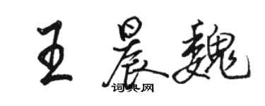 骆恒光王晨魏行书个性签名怎么写