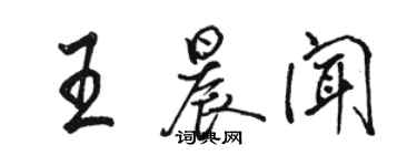 骆恒光王晨闻行书个性签名怎么写