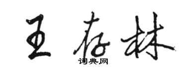 骆恒光王存林行书个性签名怎么写