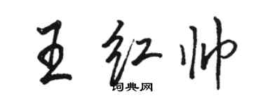 骆恒光王红帅行书个性签名怎么写