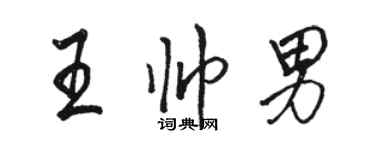 骆恒光王帅男行书个性签名怎么写