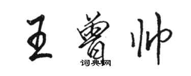骆恒光王曾帅行书个性签名怎么写