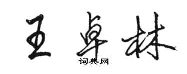 骆恒光王卓林行书个性签名怎么写
