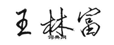 骆恒光王林富行书个性签名怎么写
