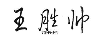 骆恒光王胜帅行书个性签名怎么写