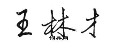 骆恒光王林才行书个性签名怎么写