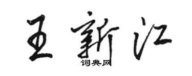 骆恒光王新江行书个性签名怎么写