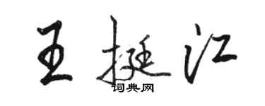 骆恒光王挺江行书个性签名怎么写
