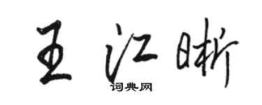 骆恒光王江晰行书个性签名怎么写