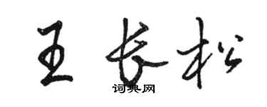 骆恒光王长松行书个性签名怎么写