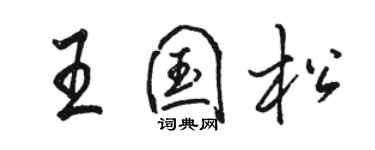 骆恒光王国松行书个性签名怎么写