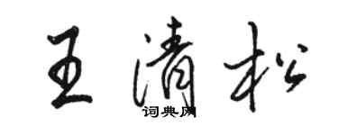 骆恒光王清松行书个性签名怎么写