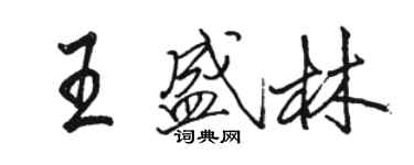 骆恒光王盛林行书个性签名怎么写