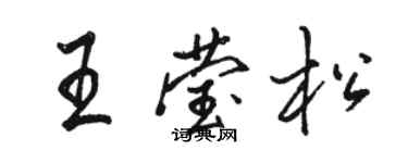 骆恒光王莹松行书个性签名怎么写