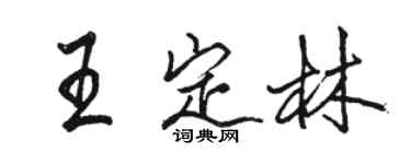 骆恒光王定林行书个性签名怎么写