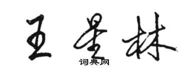 骆恒光王星林行书个性签名怎么写