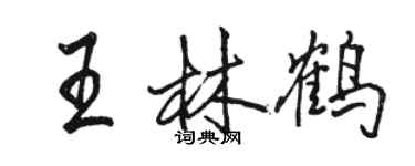 骆恒光王林鹤行书个性签名怎么写