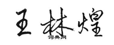 骆恒光王林煌行书个性签名怎么写