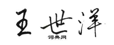 骆恒光王世洋行书个性签名怎么写